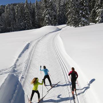 Cross-country skiing 