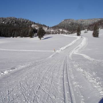 Skiing area