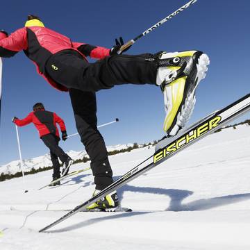 professionele skileraren
