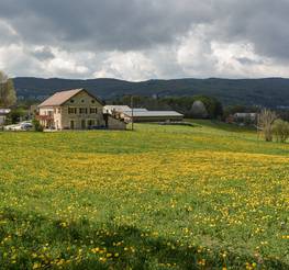 Gîte le Chalimont